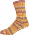 SUPERSOCKE367-3041