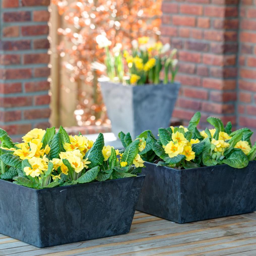 Artstone Ella Schale Schwarz