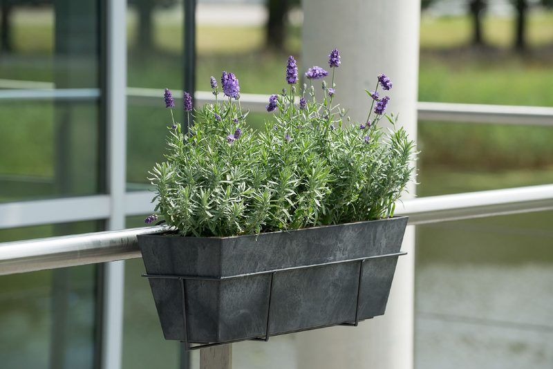 Artstone Balkonkasten mit Lavendel in einer Amy Halterung am Gel&auml;nder