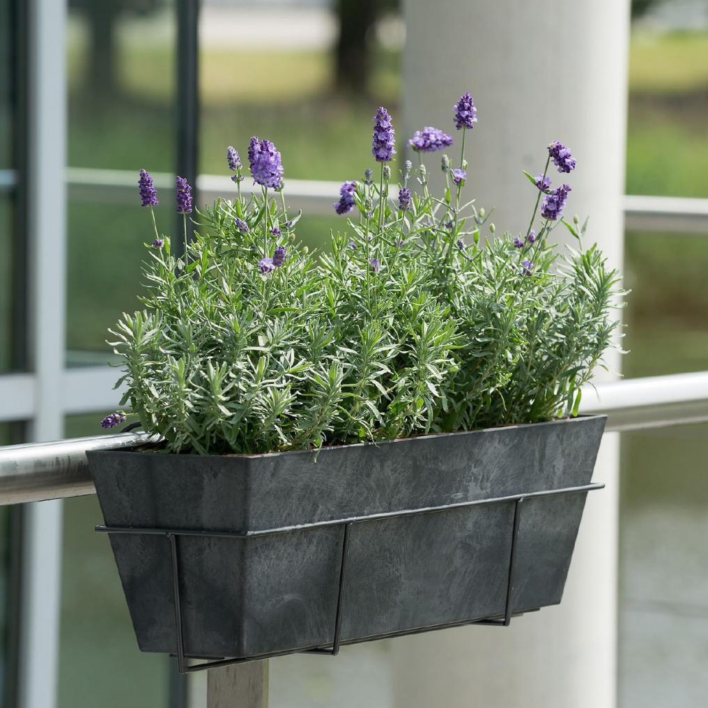 Artstone Balkokasten Ella Schwarz