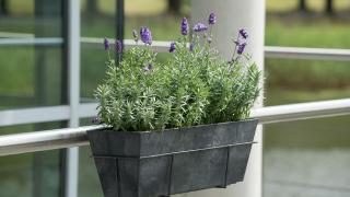 Artstone Balkokasten Ella Schwarz