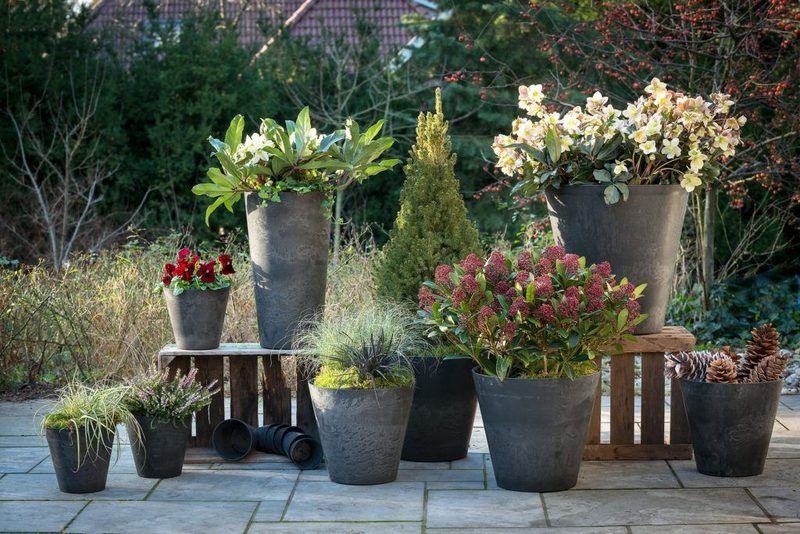 Graue Artstone Claire T&ouml;pfe mit Gr&auml;sern und Str&auml;uchern auf einer Terrasse