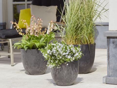 Artstone Bola Schwarz