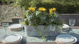 Artstone Claire Balkonkasten Grau