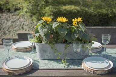 Artstone Claire Balkonkasten Grau