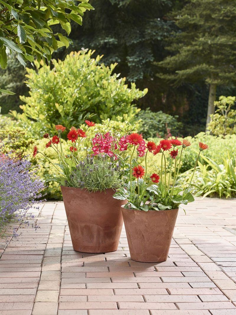 Braune Artstone Claire T&ouml;pfe mit roten Bl&uuml;ten auf einer Terrasse