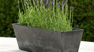 Artstone Ella Balkonkasten Schwarz