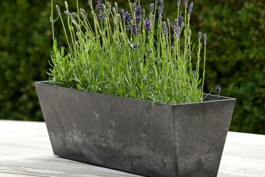 Artstone Ella Balkonkasten Schwarz