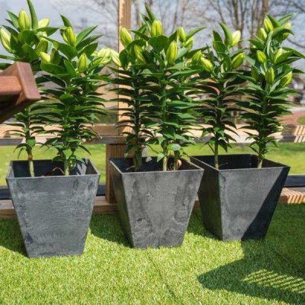 Artstone Ella Schwarz