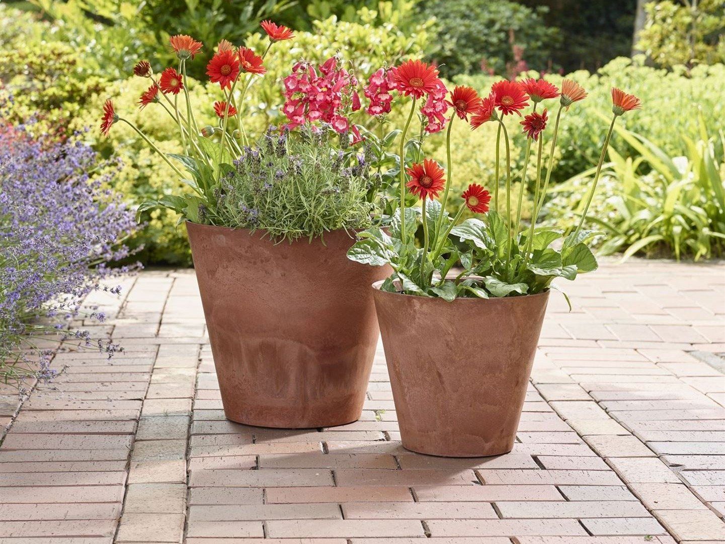 Zwei braune Claire Töpfe mit roten Gerbera auf einer Terrasse