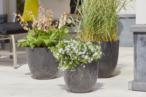 Artstone Bola Schwarz