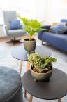 TS Indoor Kaat Green