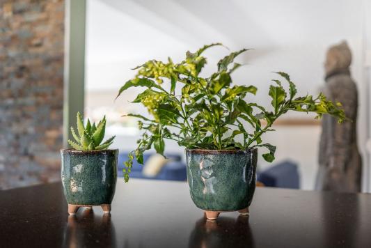 TS Indoor Kaat Petrol