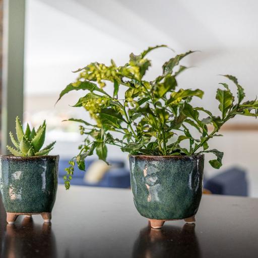 TS Indoor Kaat Petrol