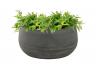 bepflanzte TS Indoor Esra Keramikschale mystic grey