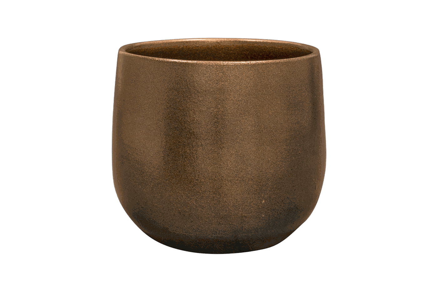 Esra champagne, Durchmesser 15 cm, freigestellt