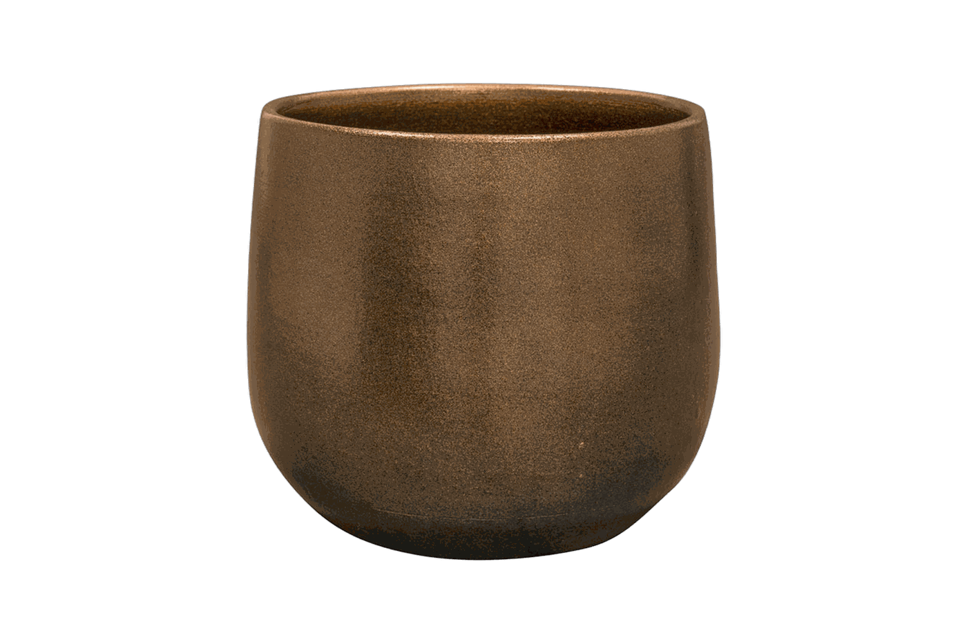 Esra champagne, Durchmesser 18 cm, freigestellt