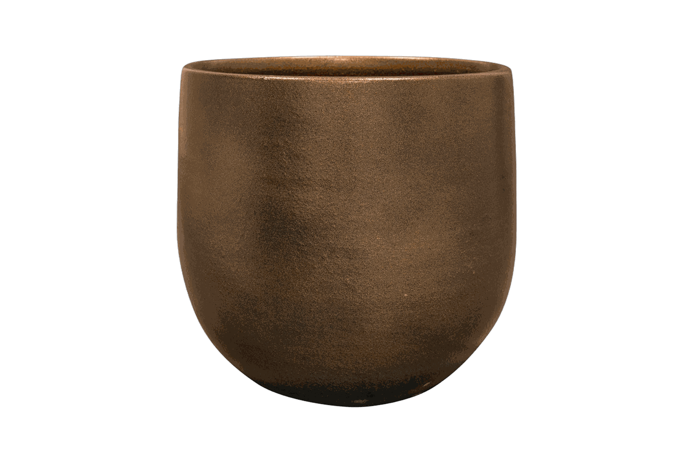 Esra champagne, Durchmesser 22 cm, freigestellt
