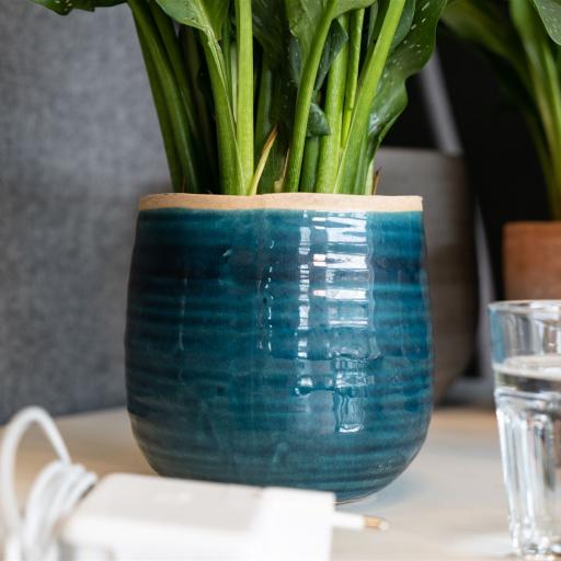 TS Indoor Iris Turqouise