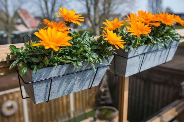 Zwei eckige Balkonkästen Nimar in Concrete mit orangefarbenen Gazanien in schwarzen Halterungen am Balkongeländer