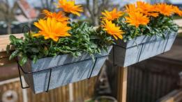 Cera-Mix Balkonkasten