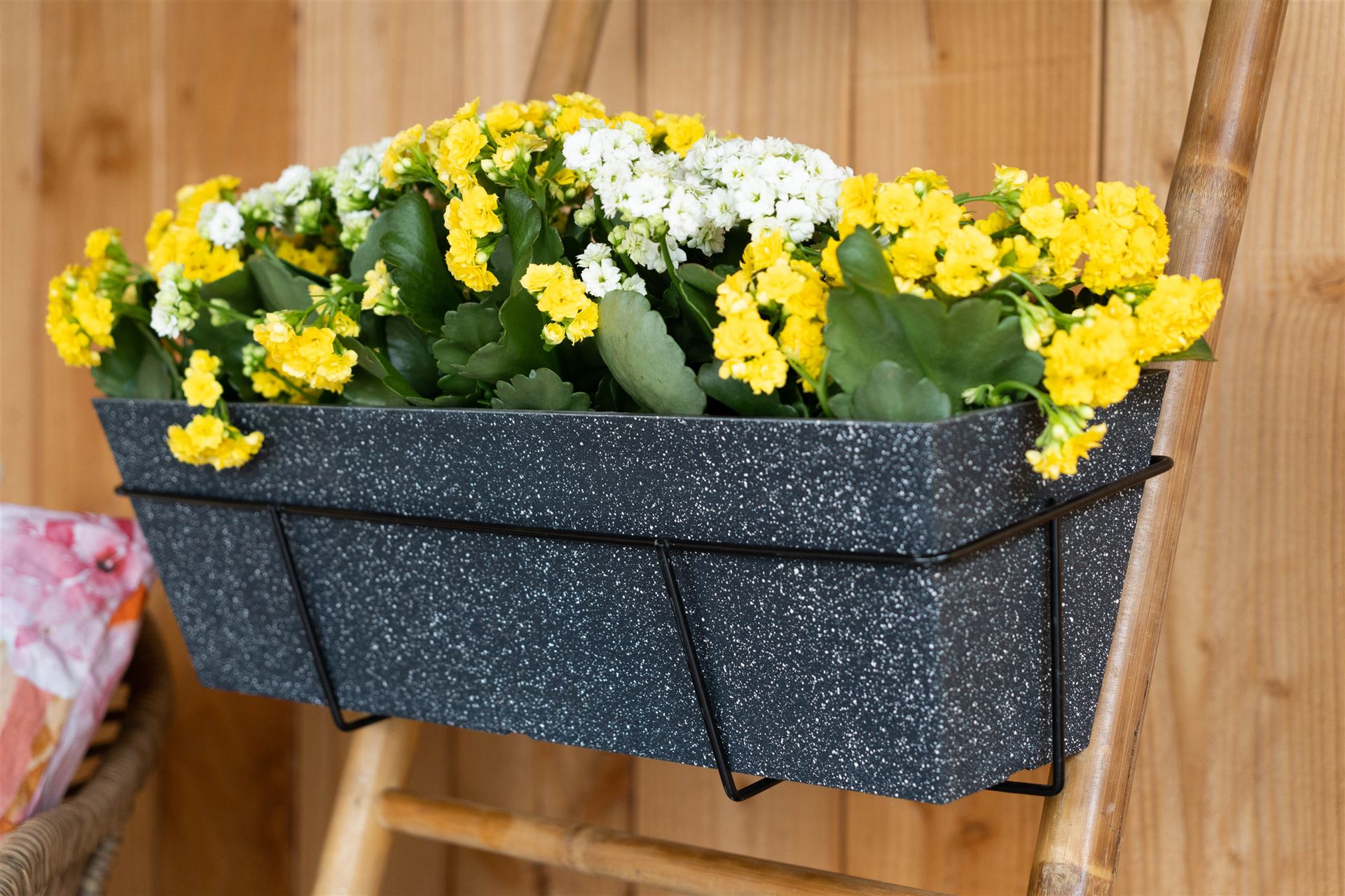 Eckiger Balkonkasten Nimar in Terrazzoschwarz mit gelben Blüten an einer hellen Holzwand