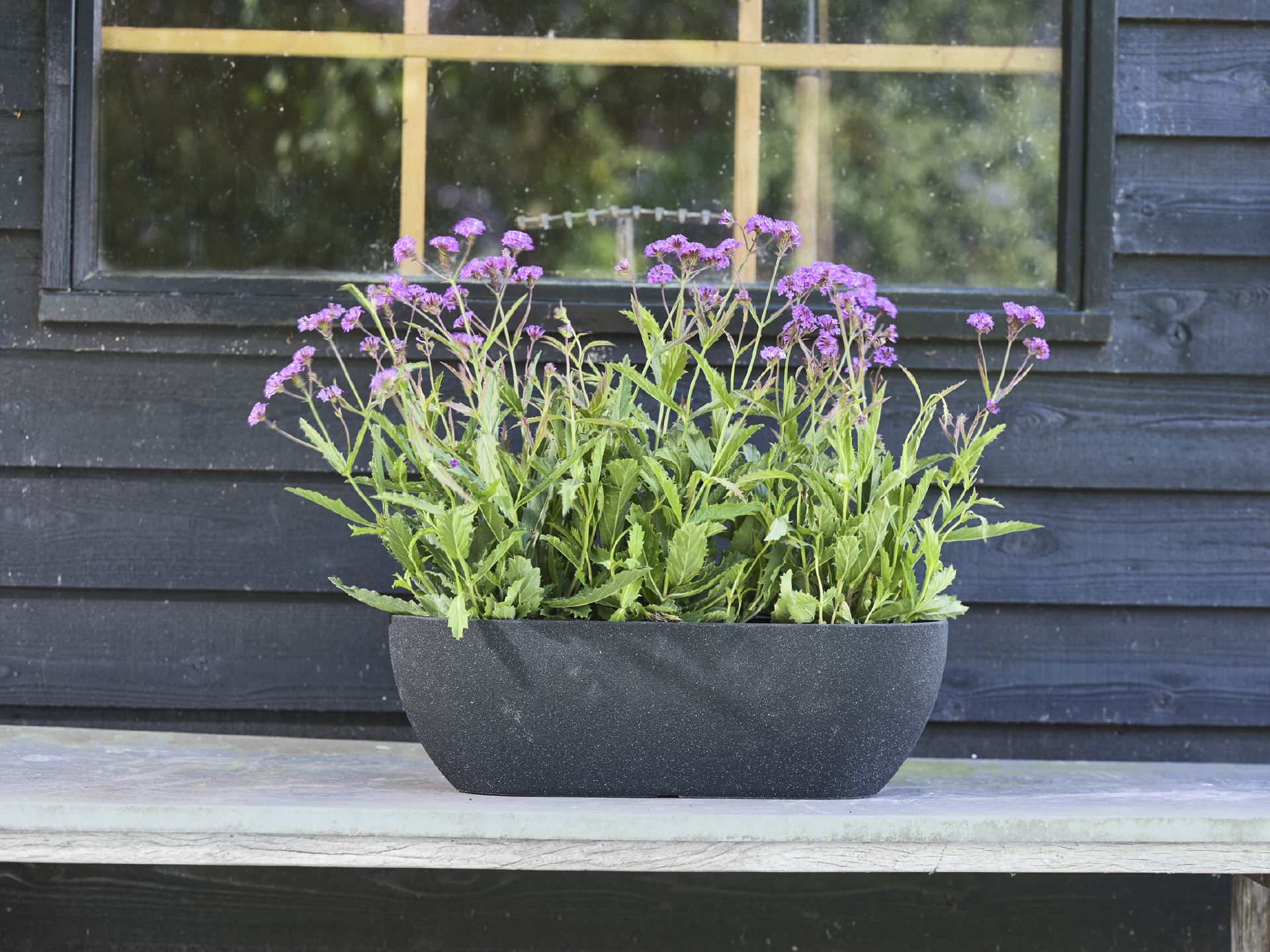 Ovaler Balkonkasten Nova in Terrazzoschwarz mit violetten Blüten auf einer Bank vor einer dunklen Holzwand