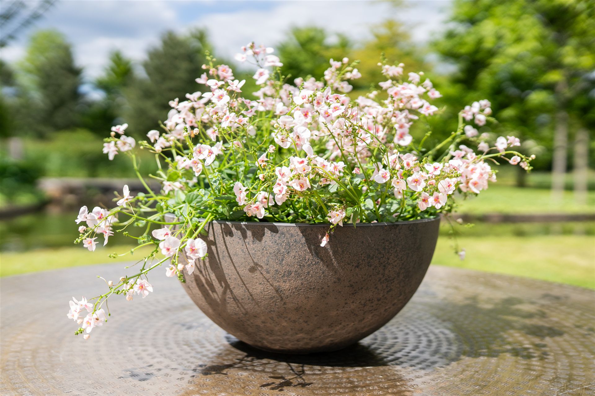Pflanzschale Nova in Stone mit zartrosa Blüten auf einem runden Gartentisch
