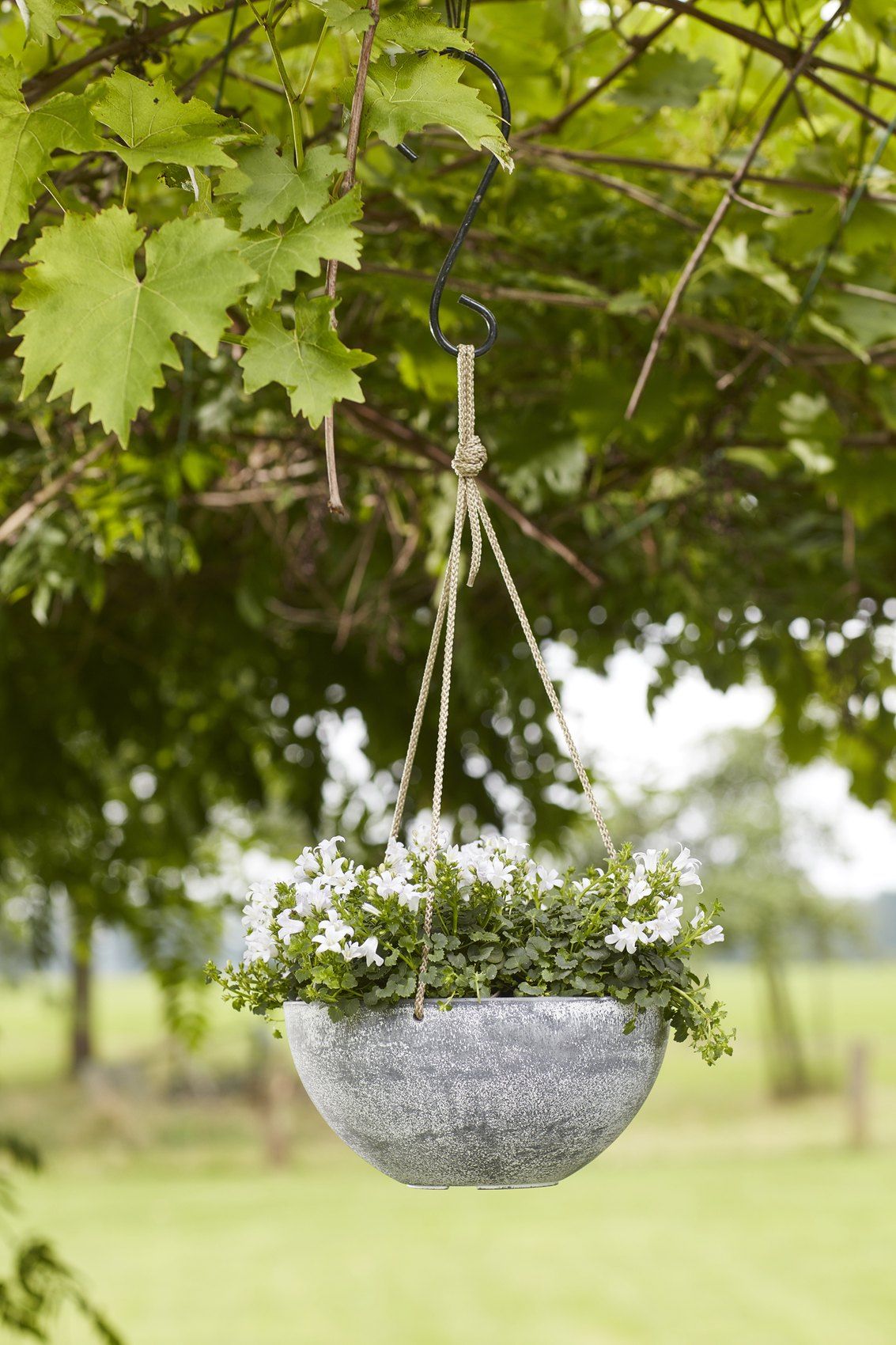 Cera-Mix-Nova-Blumenampel in Concrete, bepflanzt mit weiß blühenden Pflanzen, hängend an einem Haken unter einem Baum