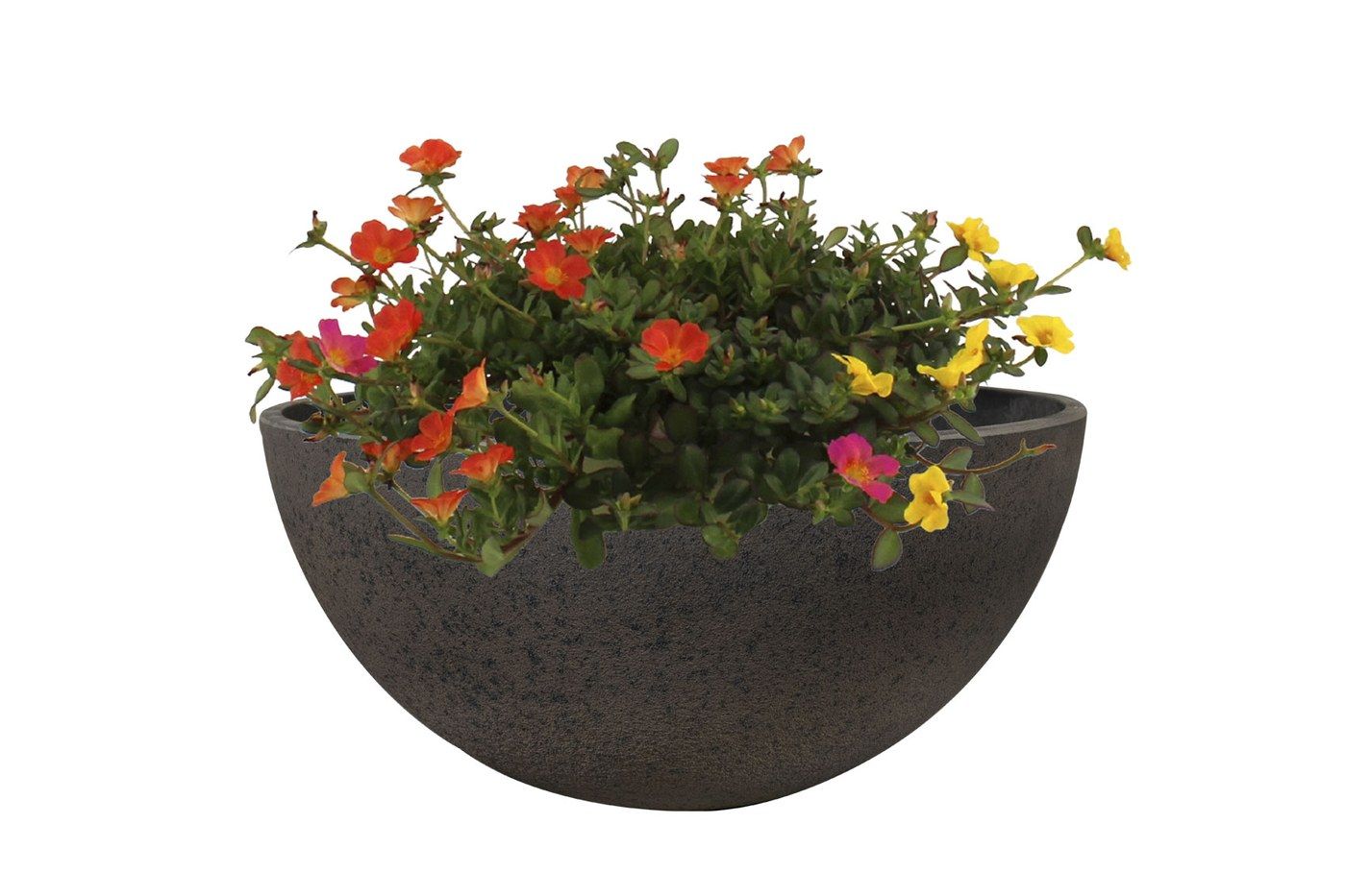 Nova Pflanzschale Stone, &Oslash; 25 cm, bepflanzt mit orange und gelb bl&uuml;henden Sommerblumen