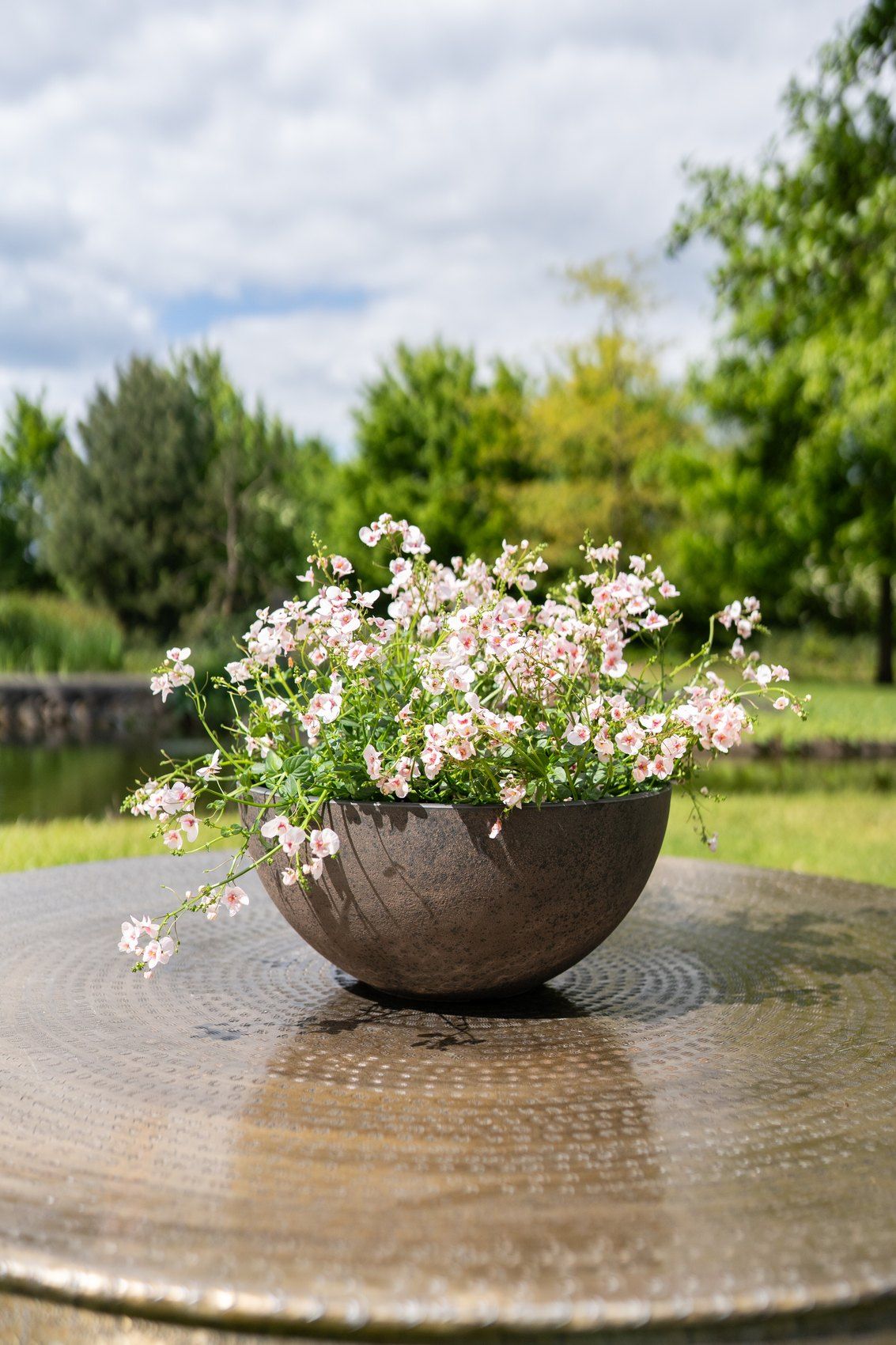 Cera-Mix-Nova-Pflanzschale in Stone, bepflanzt mit zartrosa Bl&uuml;ten, auf einem runden Gartentisch