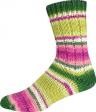 SUPERSOCKE 8-FACH SORT 353 - 2950